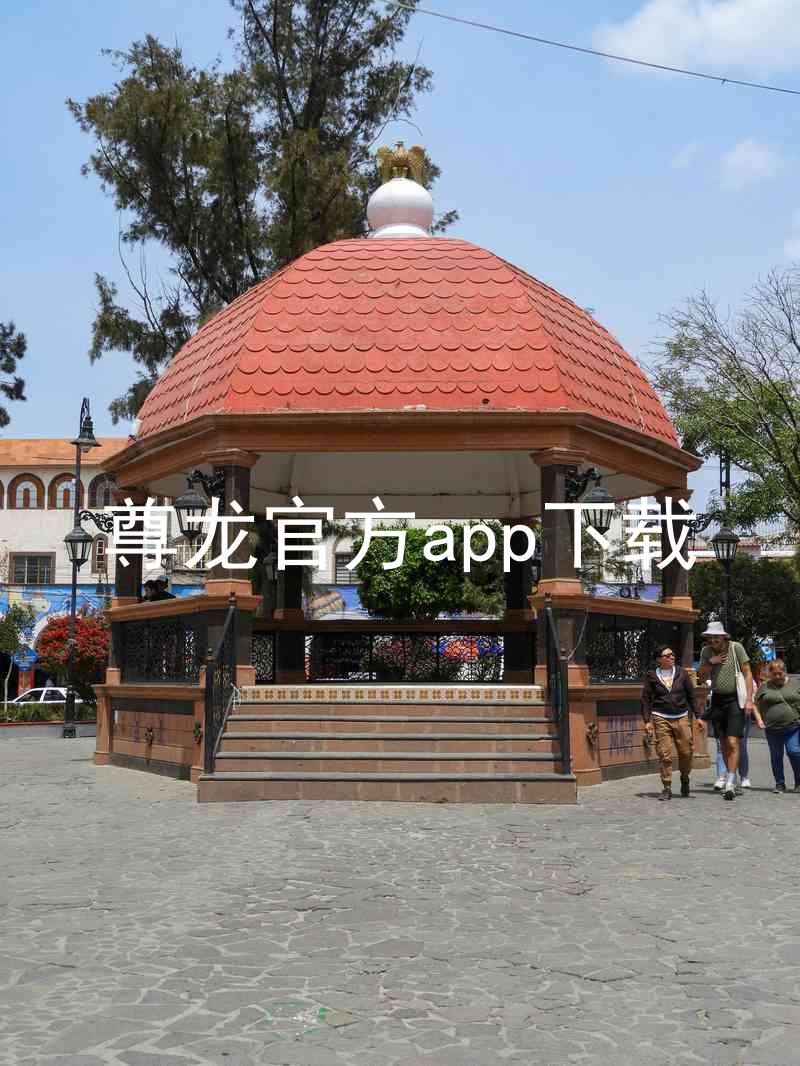 尊龙官方app下载