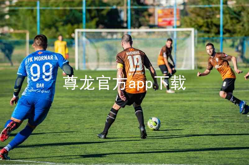 尊龙官方app下载