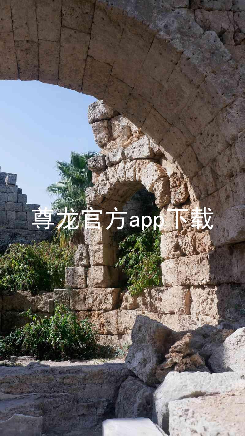 尊龙官方app下载